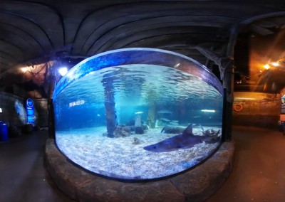 Sea Life – Munchen
